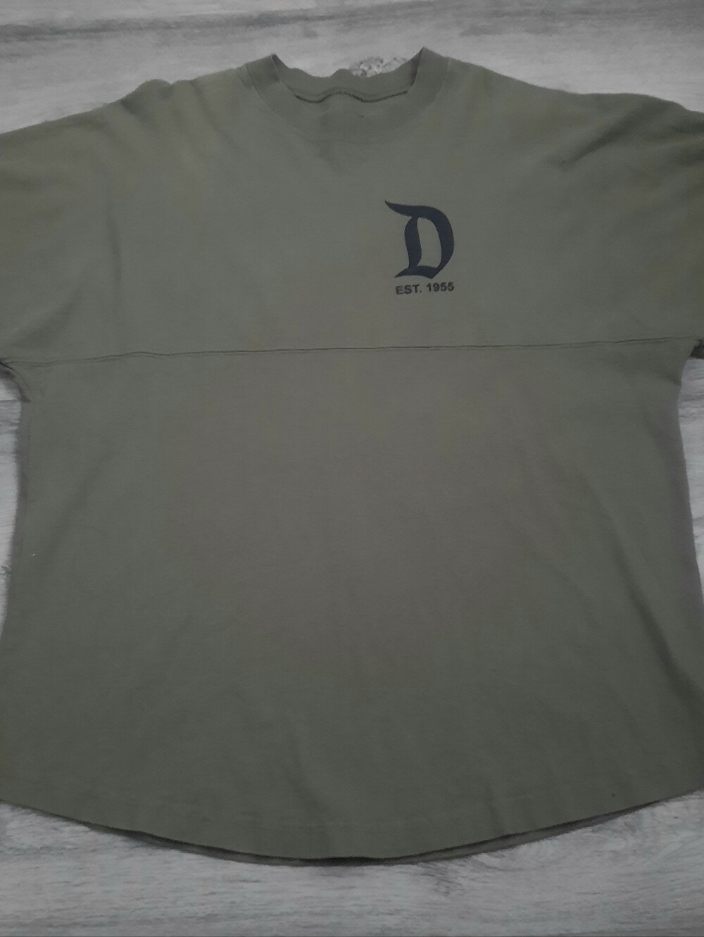 Disneyland Resort Spirit Jersey